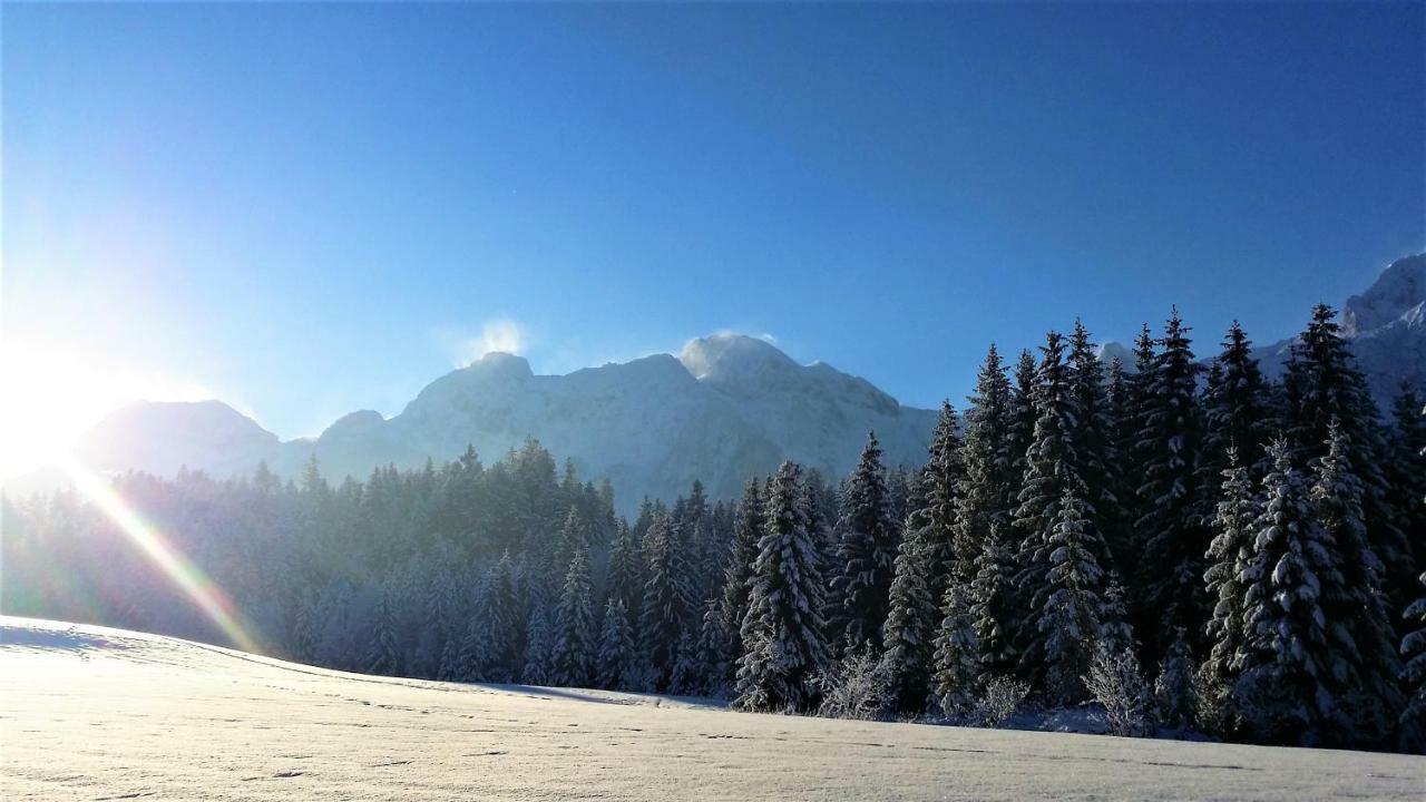 Apartmán Haus Reiter Abtenau Exteriér fotografie