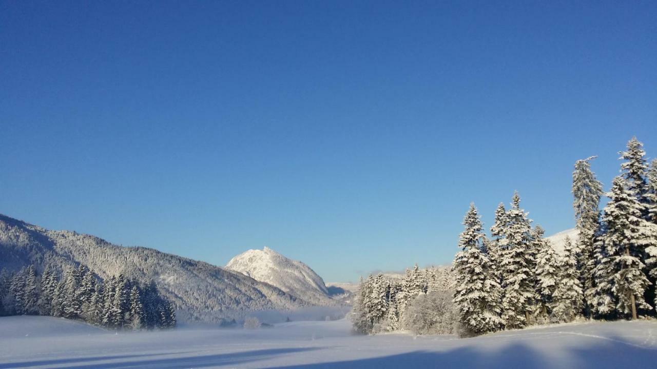 Apartmán Haus Reiter Abtenau Exteriér fotografie